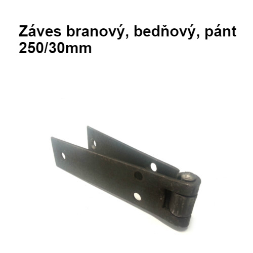 Záves branový, bedňový, pánt 250/30mm